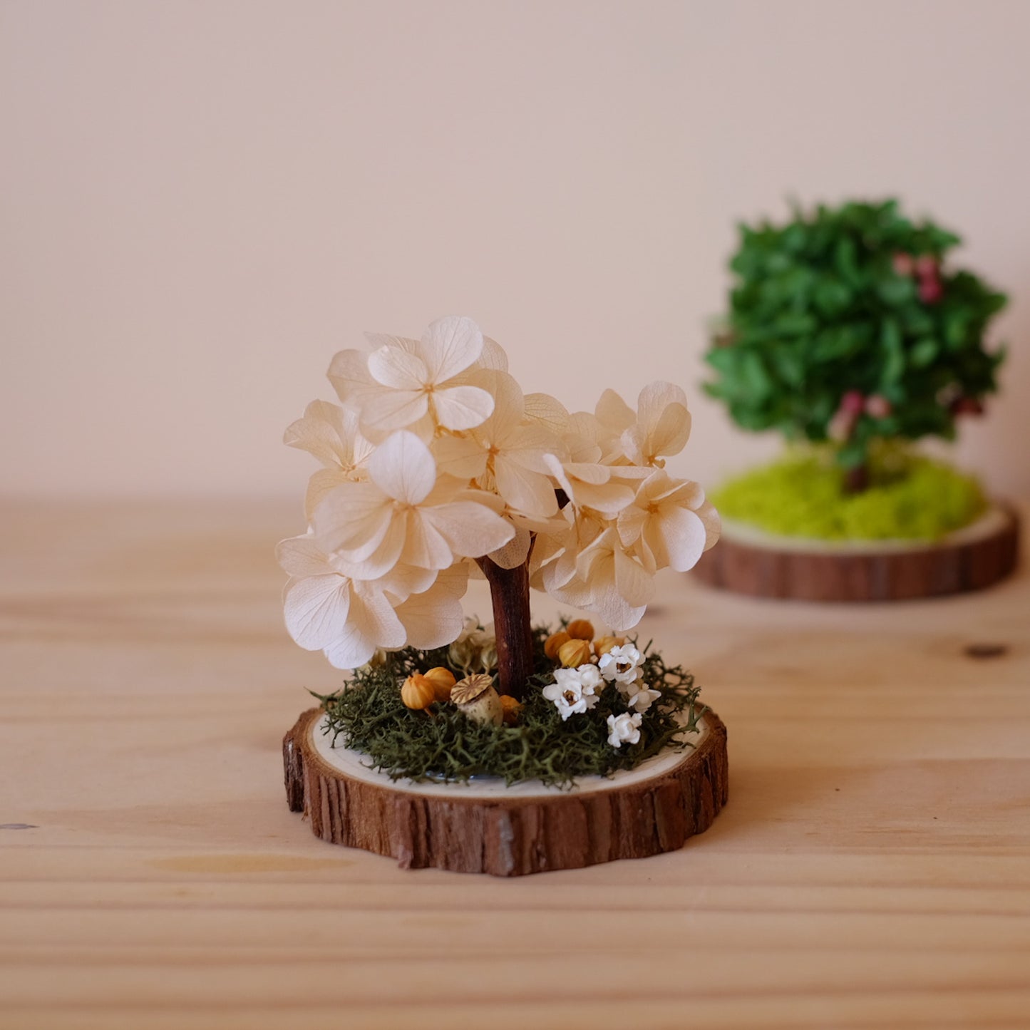 繡球小樹